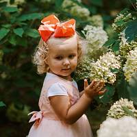 Hair bow (la rosa)